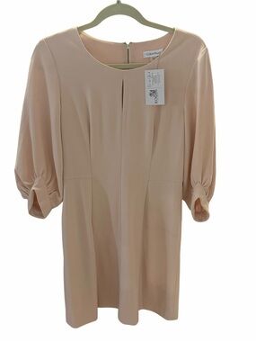 Calvin Klein Pale Blush Shift Dress